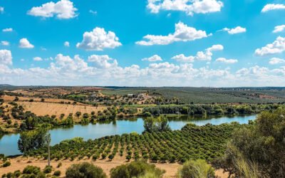 Rota Entre as Águas – 12,3km